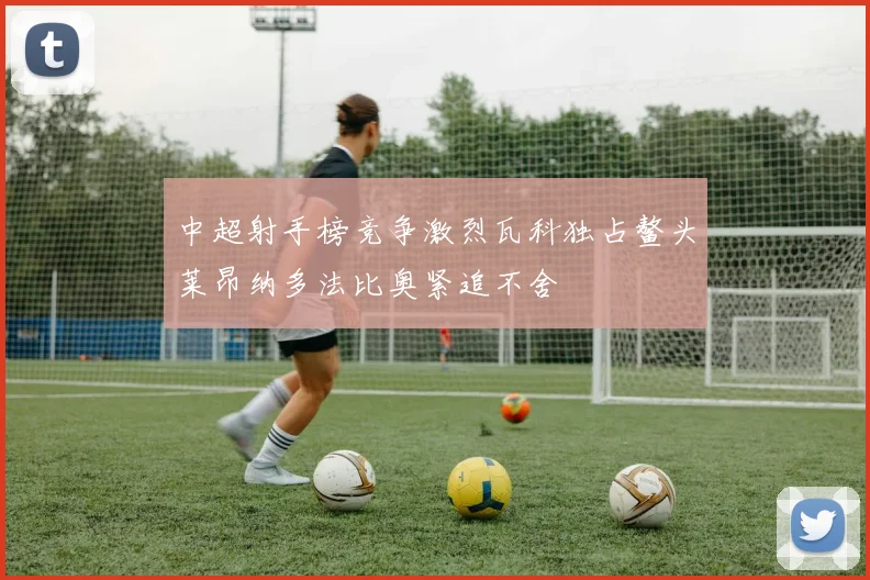 中超射手榜竞争激烈瓦科独占鳌头莱昂纳多法比奥紧追不舍