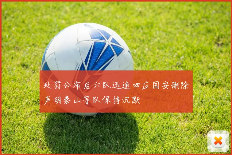 处罚公布后六队迅速回应国安删除声明泰山等队保持沉默
